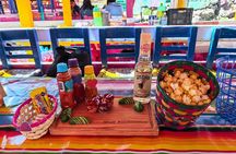 Mexico City : Leisurely Xochimilco Boat tour - Easy Boarding & Top