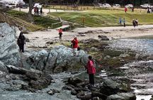 TIERRA DEL FUEGO NATIONAL PARK & TRAIN (optional) Tour