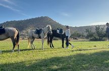 Horse Riding Adventure in Taghazout
