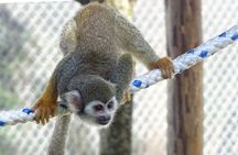 2x1: Puerto Plata MonkeyLand and Waterfalls Tour 