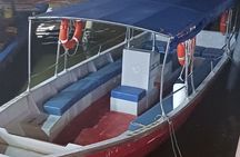 Sea Eagles+Fireflies+Glow Plankton from Kuala Lumpur