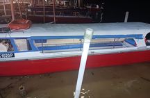 Sea Eagles+Fireflies+Glow Plankton from Kuala Lumpur