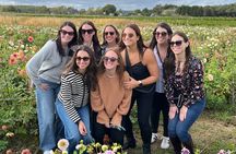 North Fork Full Day Private Wine & Food Tour by Local Expert 