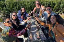 Half Day(AM) North Fork Private Wine & Food Tour by Local Expert