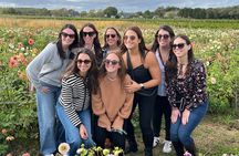 Half Day(PM) North Fork Private Wine & Food Tour by Local Expert