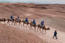 Agafay Desert Adventure: Quad, Camel Ride, Pool & Lunch