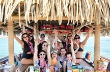 Private 2 hour 1000 Islands Tiki Cruise for up to 12 people