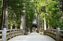 Koyasan Spiritual Day Trip: Goma Fire Ritual & Okunoin Forest