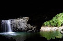 Springbrook Waterfalls and Natural Bridge Tour