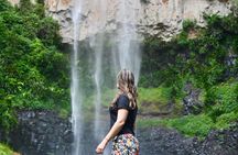 Springbrook Waterfalls and Natural Bridge Tour