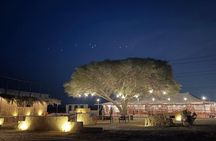 Riyadh Desert Adventure