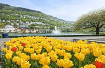 Bergen: Guided City Walk, Osterøy Island & Fjord Experience