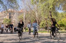 Picasso's Barcelona on Electric Bike Small Group Tour