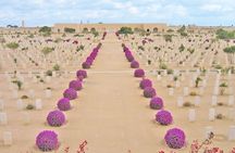 The Battlefield of El Alamein from Alexandria Port