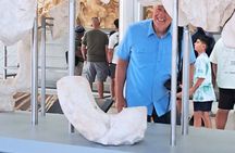 Acropolis Museum Family Guided Tour and Interactive Game