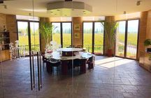 Private Tour in Lujan de Cuyo Mendoza