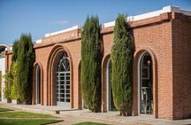 Private Tour in Lujan de Cuyo Mendoza