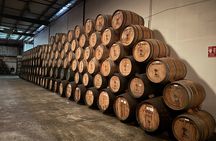 Experience of Ron at Bodegas Don Pancho Panama City