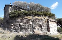 The Appian Way e-bike tour