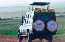 7 Days Wildlife Safari and Beach Getaway