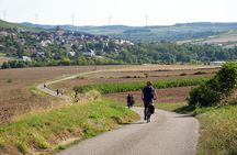 Guided electric bike tour in Irancy and Saint-Bris.