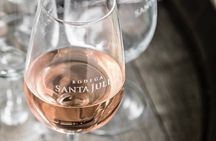 Private Transfer + Maipu Vinicolas