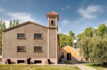 Private Transfer + Maipu Vinicolas