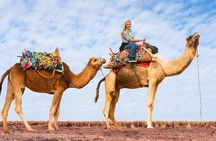 Desert Agafay Marrakech Sunset Camel Ride, Dinner Sw Hotel Pickup
