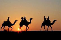 Desert Agafay Marrakech Sunset Camel Ride, Dinner Sw Hotel Pickup