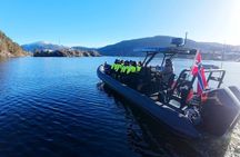 Bergen: Mostraumen Fjord Safari - by Premium RIB Boat