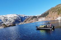 Bergen: Mostraumen Fjord Safari - by Premium RIB Boat