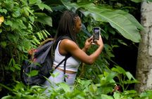 Grand Etang Rainforest - Hike & Swim (Small Group Adventure) 