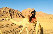 Sharm El-Sheikh: ATV & Buggy Sunset Desert Safari