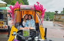 Central Park Movie Locations Pedicab Tour