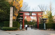 Old Tokyo Guided Walking Tour of Yanaka and Nezu Shrine
