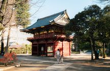 Old Tokyo Guided Walking Tour of Yanaka and Nezu Shrine