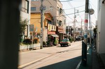 Old Tokyo Guided Walking Tour of Yanaka and Nezu Shrine