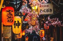 Tokyo Shinjuku Guided Walking Tour with Gyoen Garden Ticket
