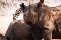 5 Day Mkomazi Rhino Safari