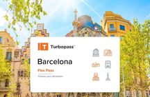 Barcelona Flex Pass: Sagrada, Park Guell, Casa Batllo, Transport