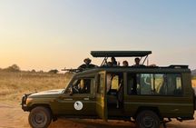 2 Days Akagera Wildlife Safari with Night Game Drive