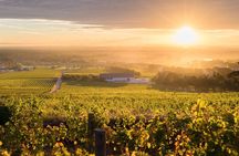 Cape Town Sights & Bites - Private Tour 