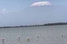 Amboseli National Park Wildlife Encounter 3 Days 2 Nights