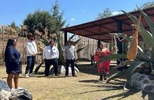Teotihuacan and Basilica of Guadalupe with Barbacoa Experience