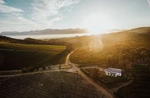 Splendour in the Winelands - Private Tour