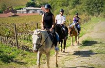 Tuscany Horseback Riding and Winery Tour with Lunch