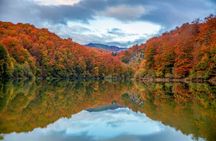 Day Trip to Irati Forest and Ochagavia from Pamplona