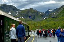 Self-Guided 22-Hour Round Trip From Oslo To Sognefjord With Flåm Railway
