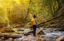 Day Trip to Irati Forest and Ochagavia from Pamplona