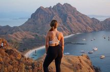 Exclusive Speed Boat Group Tour: One Day to Komodo Island